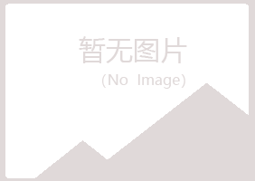 阳山县夜白美容有限公司